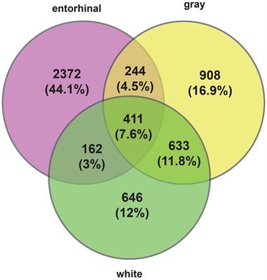 Alzheimer’s disease pathogenetic progression is associated with changes in regulated retained introns and editing of circular RNAs